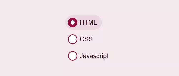 css3美化单选按钮点击选中动画特效 - 网创在线