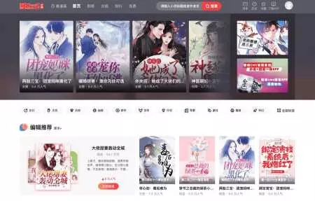 漫画小说源码网站程序CMS源码 - 网创在线
