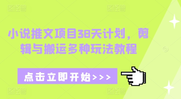 小说推文项目38天计划，剪辑与搬运多种玩法教程-网创在线
