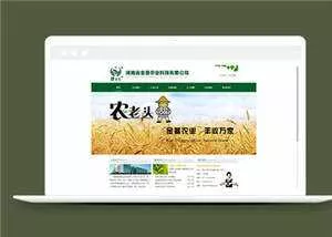 简洁农业科技企业源码模板下载 - 网创在线