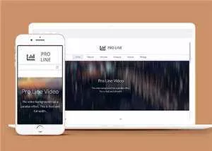 简约专业服务信息在线企业网页模板下载 - 网创在线