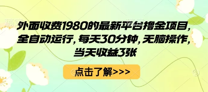 外面收费1980的最新平台撸金项目，全自动运行，每天30分钟，无脑操作，当天收益3张【揭秘】 - 网创在线