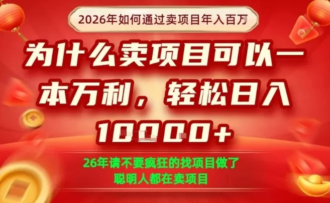 一单净利润1K+，26年想年入100个W，死磕卖项目就够了【揭秘】 - 网创在线