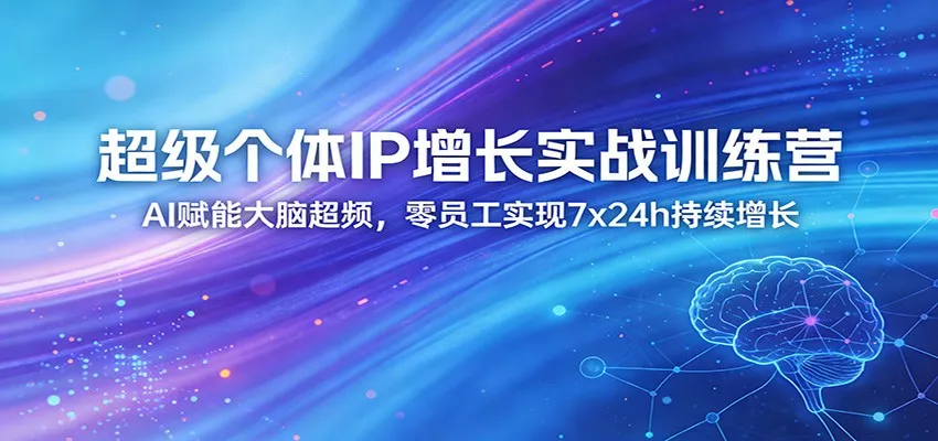 超级个体IP增长实战训练营：AI赋能大脑超频，零员工实现7x24h持续增长(更新) - 网创在线