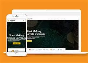 比特币加密货币类网站模板下载 - 网创在线