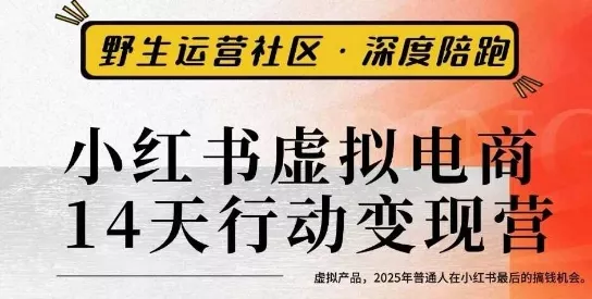 小红书虚拟电商14天变现训练营3.0，虚拟产品，2025年普通人在小红书最后的搞钱机会 - 网创在线