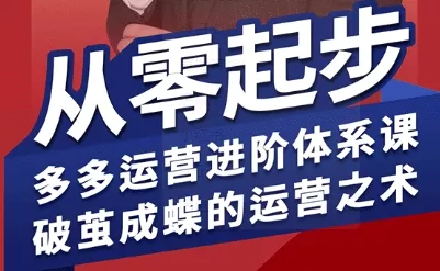 拼多多运营进阶系统课，从零起步，多多运营进阶体系课，破茧成蝶的运营之术(更新9月) - 网创在线