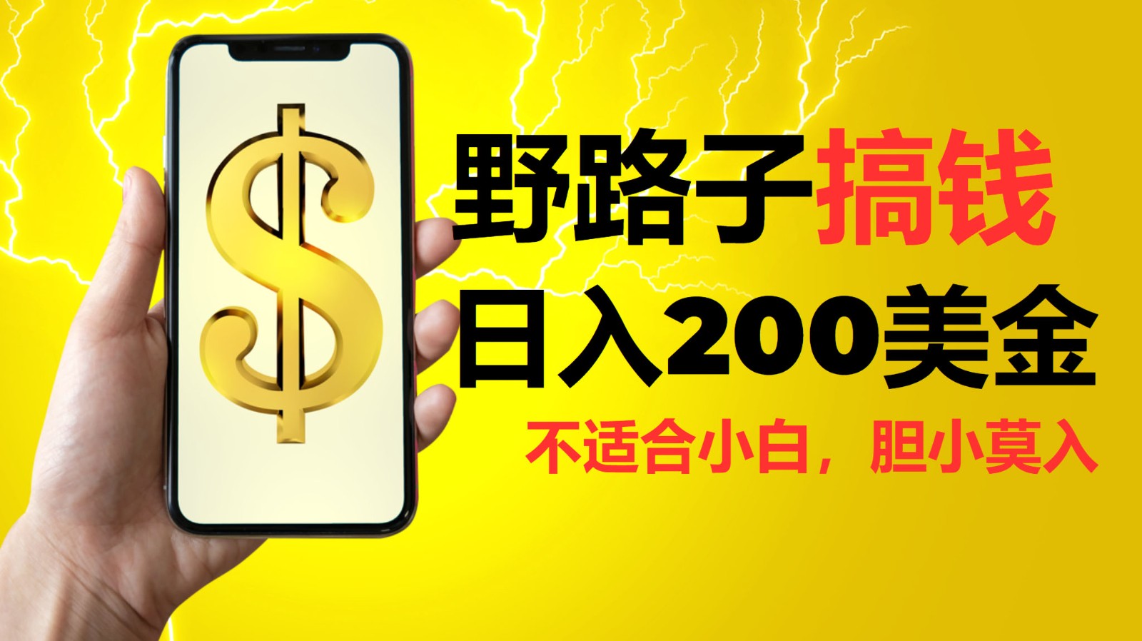 挂机野路子搞钱，日入200美金，路子很野，小白莫入-网创在线