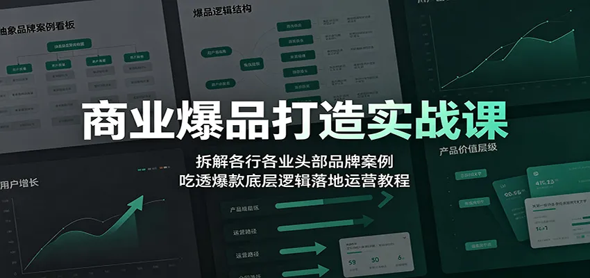 商业爆品打造实战课：拆解各行各业头部品牌案例，吃透爆款底层逻辑落地运营教程 - 网创在线
