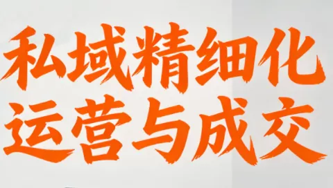 楚老师·私域精细化运营与成交 - 网创在线