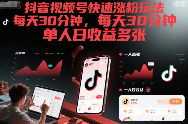 抖音视频号快速涨粉玩法，每天30分钟，单人日收益多张 - 网创在线