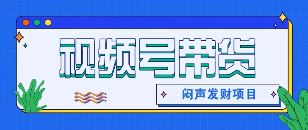 微信视频号带货项目,轻松日赚赚2000+,这个挣钱入口很多伙伴都在闷声发财 - 网创在线
