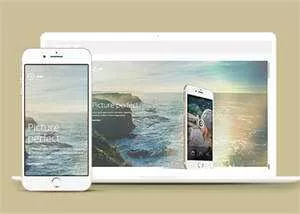 图片视差APP应用网站模板下载 - 网创在线
