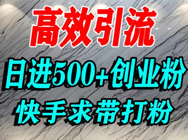 怎么打创业粉？快手求带视角精准引流创业粉，宝妈、学生群体日进500+精准流量 - 网创在线