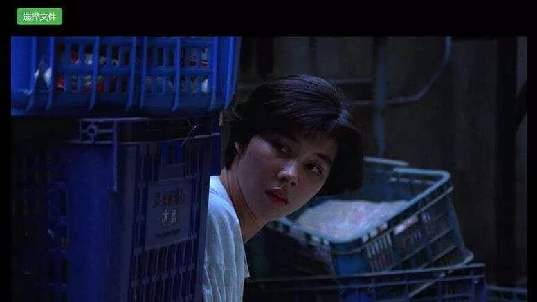 H5视频播放器源码_支持本地选择视频播放，带截图功能 - 网创在线