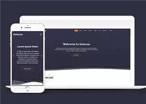 简约业务团队动态响应式网页模板下载 - 网创在线