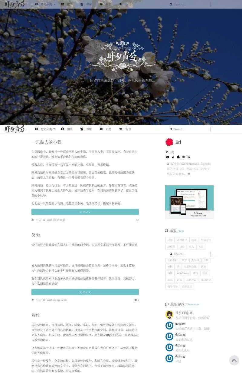 wordpress极简优秀的博客主题–ErlSimpleV1.5主题 - 网创在线