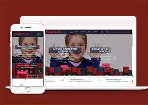 宽屏图书教育HTML网站模板源码 - 网创在线
