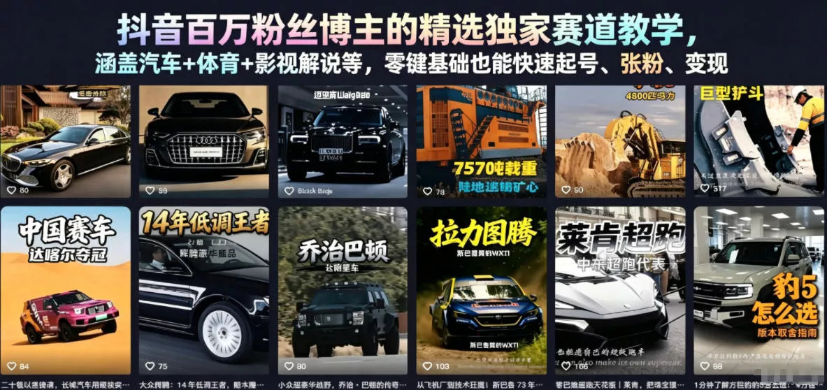 抖音百万粉丝博主的精选独家赛道教学，涵盖汽车+体育+影视解说等，零基础也能快速起号、涨粉、变现(更新0701) - 网创在线