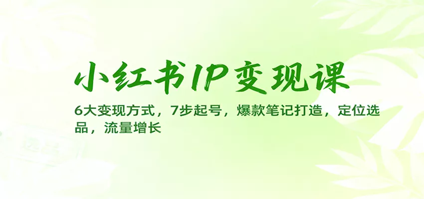 小红书IP变现课：6大变现方式，7步起号，爆款笔记打造，定位选品，流量增长 - 网创在线
