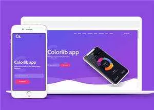 宽屏APP项目展示响应式网页模板下载 - 网创在线