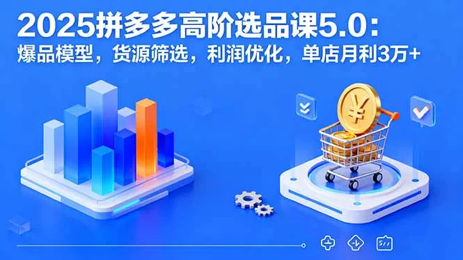 2025拼多多高阶选品课5.0：爆品模型，货源筛选，利润优化，单店月利3万+ - 网创在线