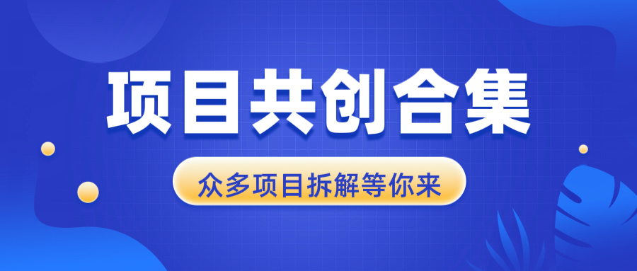 图片[1]-项目共创合集，从0-1全过程拆解，让你迅速找到适合自已的项目
