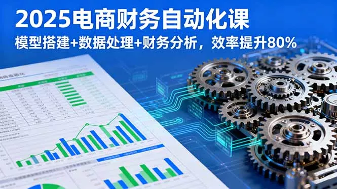 2025电商财务自动化课，模型搭建+数据处理+财务分析，效率提升80% - 网创在线