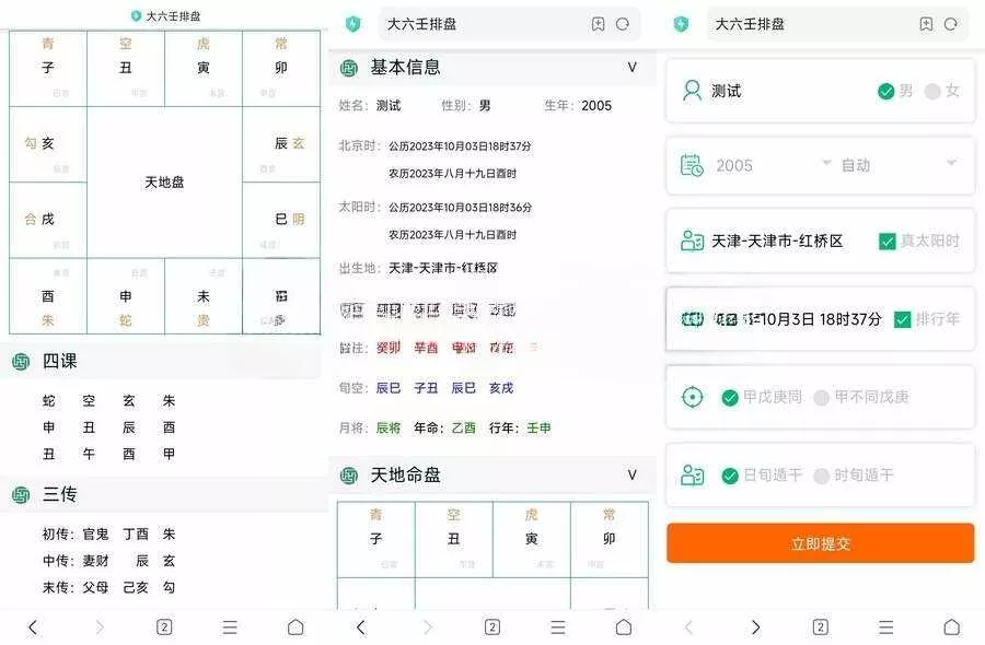 开源无马可二开八字排盘源码 - 网创在线