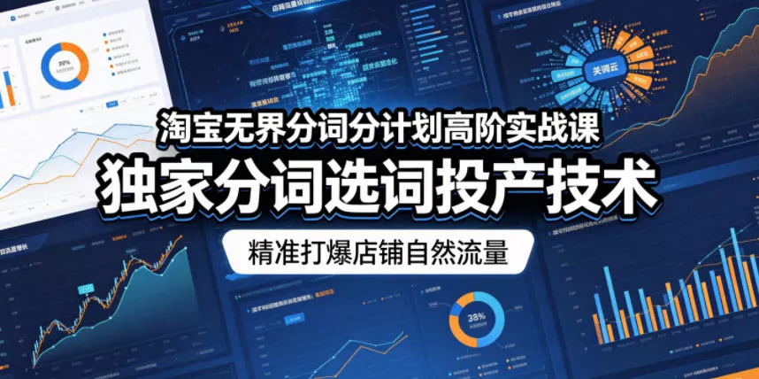 淘宝无界分词分计划高阶实战课，独家分词选词投产技术，精准打爆店铺自然流量 - 网创在线