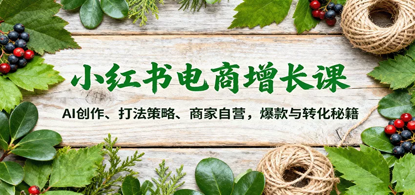 小红书电商增长课：AI创作、打法策略、商家自营，爆款与转化秘籍 - 网创在线