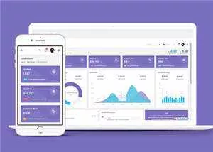 手机app运营数据统计后台模板下载 - 网创在线