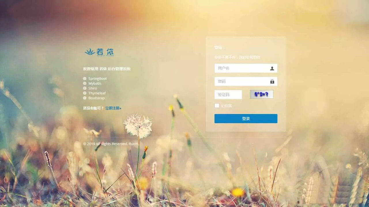 图片[4] - RuoYi若依管理系统最新版 基于SpringBoot的权限管理系统 - 网创在线