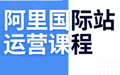 张国儒·阿里国际站运营课程(更新2026) - 网创在线