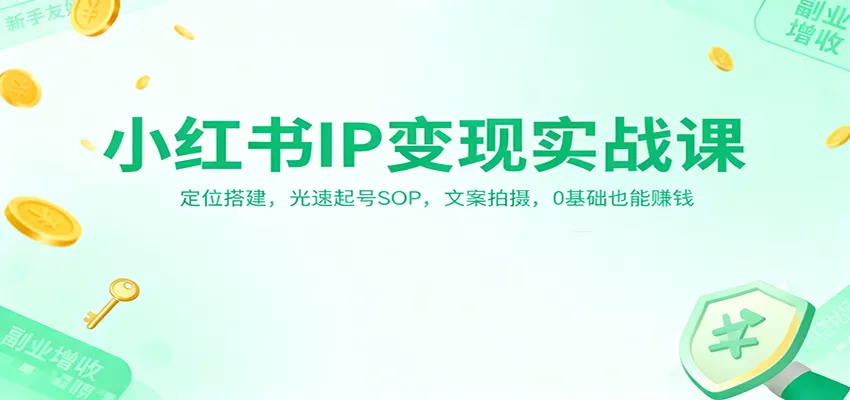 小红书IP变现实战课：定位搭建，光速起号SOP，文案拍摄，0基础也能赚钱 - 网创在线