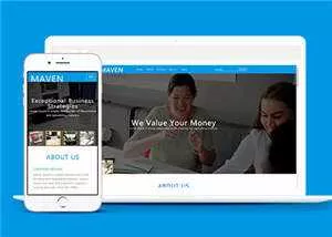 专业咨询服务展示HTML网页模板下载 - 网创在线