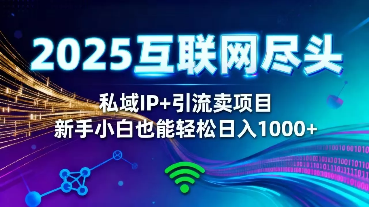 2025网创尽头王炸项目！私域 IP + 精准引流，新手小白在家躺赚日入 1000+ - 网创在线