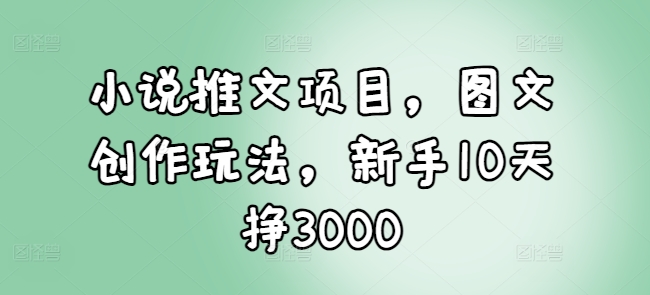 小说推文项目，图文创作玩法，新手10天挣3000-网创在线