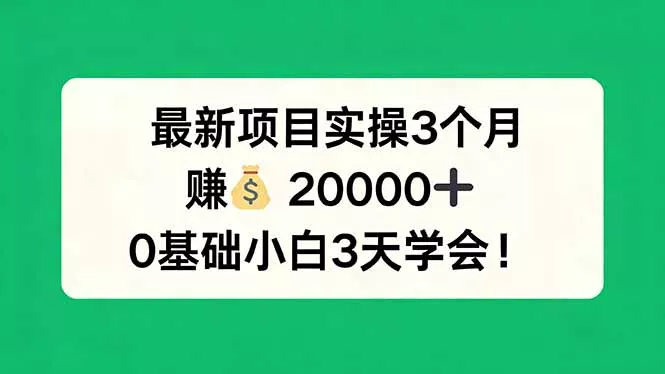 最新项目实操3个月，赚钱20000+，0基础小白3天学会！ - 网创在线