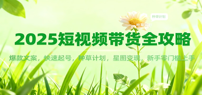 2025短视频带货全攻略：爆款文案，快速起号，种草计划，星图变现，新手零门槛上手-网创在线