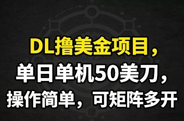 DL撸美金项目，单日单机50美刀，操作简单，可矩阵多开 - 网创在线
