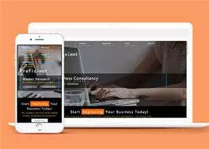 精通商务科技公司HTML网站模板下载 - 网创在线