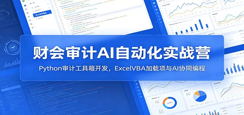 财会审计AI自动化实战营：Python审计工具箱开发，ExcelVBA加载项与AI协同编程 - 网创在线